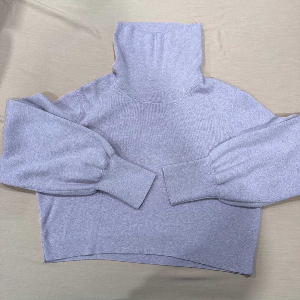 Aritzia Wilfred Cropped Turtleneck